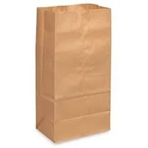 Paper Bags – Brown – #6. 500_CT