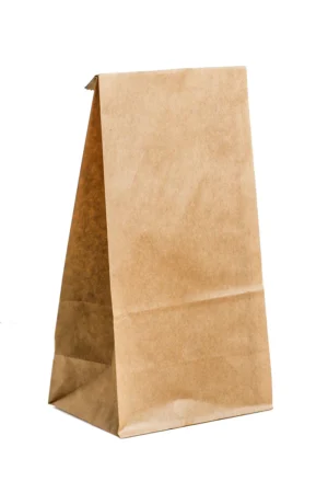 Brown Kraft Paper Bags 20lb in Bulk