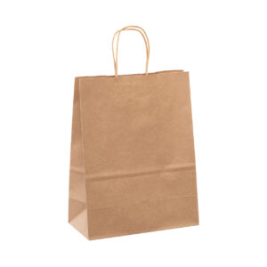 14" x 10" x16" Brown paper bags with twisted handle. 200/Box